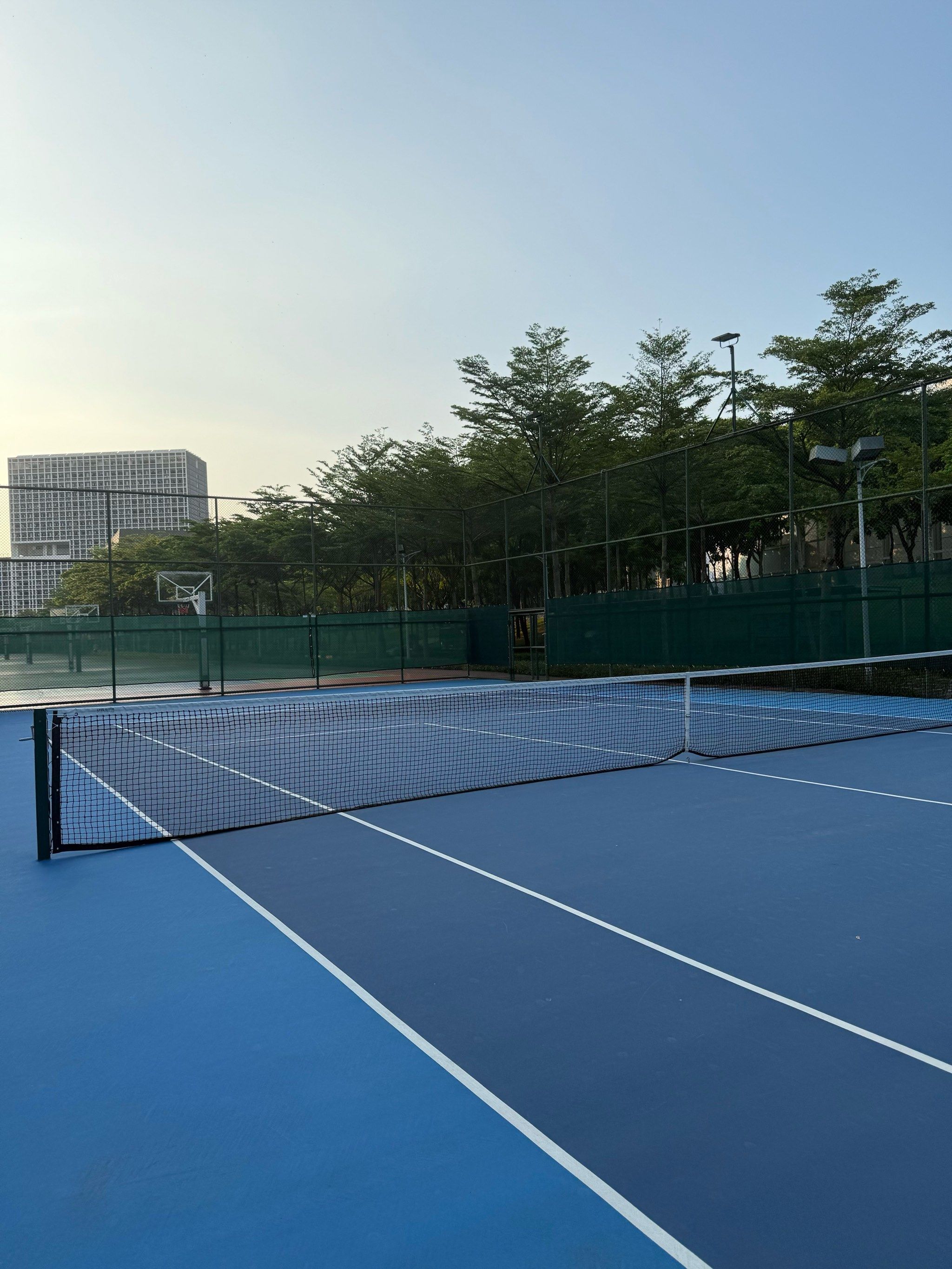 们展示自己 们展示自己