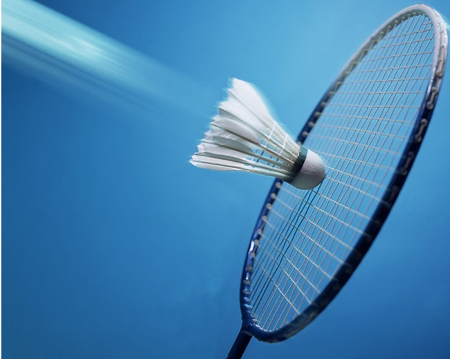 丹麦羽毛球 丹麦羽毛球