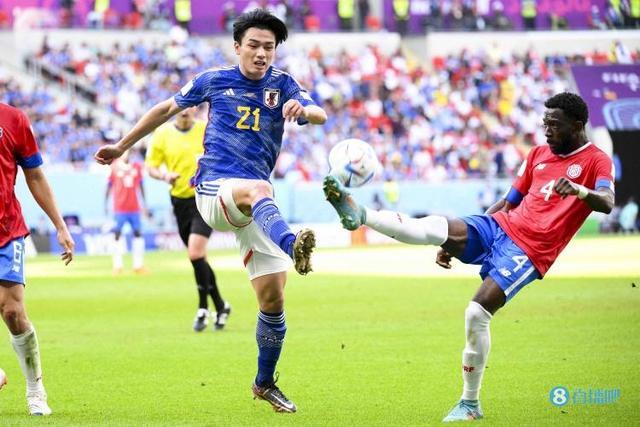 关注战斗细 关注战斗细